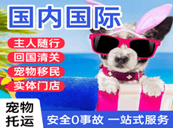 张家界荷花空运代理国际宠物托运 【国